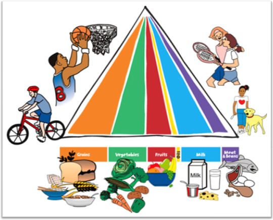 Food Pyramid