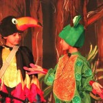 Rumpus in the Rainforest