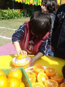 Citrus-Week-4-225x300