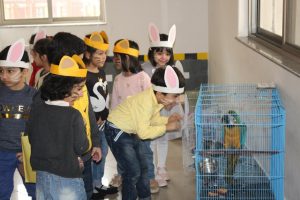 Pet-Parade-6-300x200