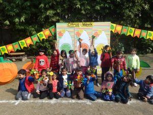 Citrus-Week-5-300x225