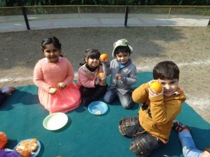 Citrus-Week-2-300x225