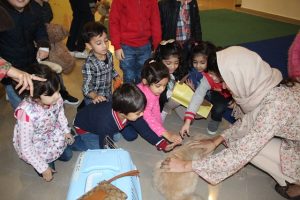 Pet-Parade-4-300x200