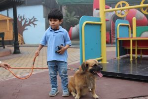 Pet-Parade-1-300x200