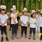 Spring Presentations