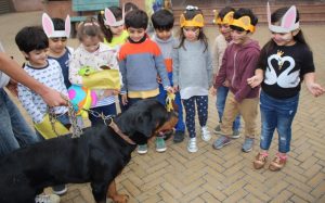 Pet-Parade-2-300x187