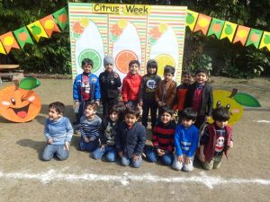 Citrus-Week-7-300x225