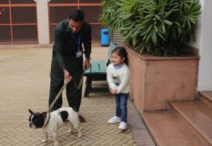 Pet-Parade-5-300x207