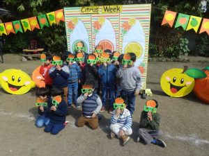 Citrus-Week-3-300x225