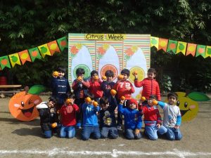 Citrus-Week-1-300x225